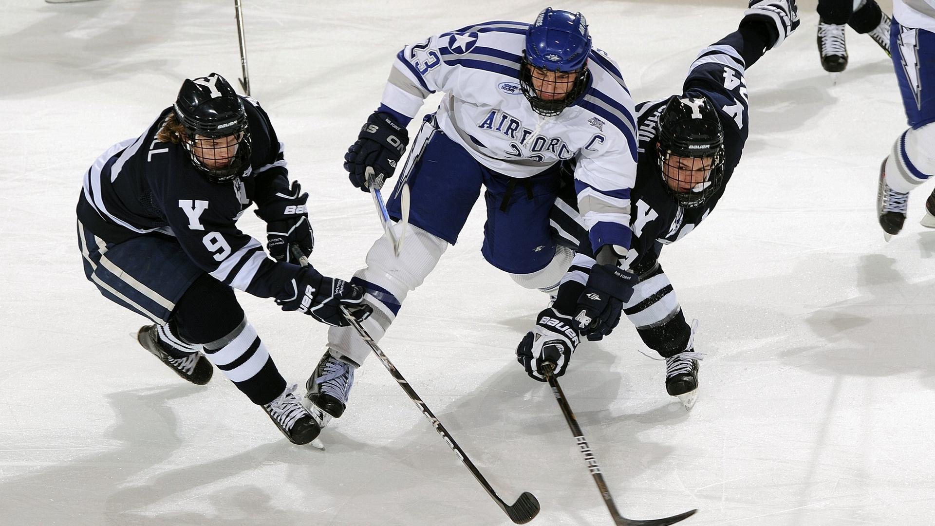 全球体育产业报告